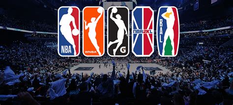 pro basketball leagues.